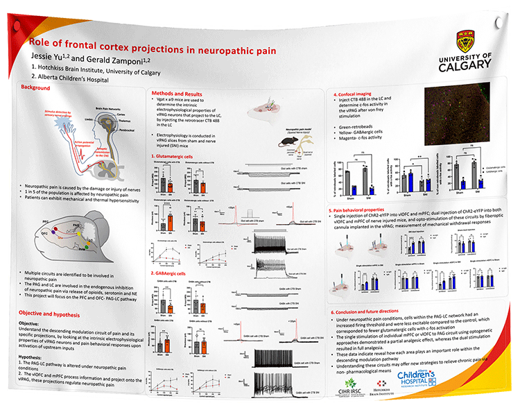 University of Calgary Paper & Fabric Research Poster